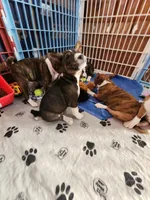 processed/87735d5a-eb6c-4814-84fd-4c693175f4f2/listing/cf1147da-f304-4c5a-b0cf-0f15ae3e010f/ff83a739-7720-4d05-b621-2ee67d361d6b