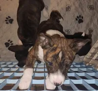 processed/87735d5a-eb6c-4814-84fd-4c693175f4f2/listing/d32a1624-600d-4793-945f-e7f4a826d051/48b48a82-3e13-4223-ac54-a9e04189296d