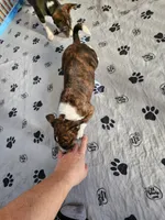 processed/87735d5a-eb6c-4814-84fd-4c693175f4f2/listing/d32a1624-600d-4793-945f-e7f4a826d051/ac2513e1-c4a7-49c0-828f-2856e1f9aecc