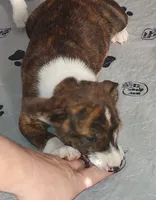 processed/87735d5a-eb6c-4814-84fd-4c693175f4f2/listing/d32a1624-600d-4793-945f-e7f4a826d051/d7f77b08-0b3f-4557-8616-b4aac2febec7