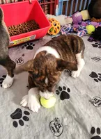 processed/87735d5a-eb6c-4814-84fd-4c693175f4f2/listing/d32a1624-600d-4793-945f-e7f4a826d051/fa47342b-f5d2-4381-949d-5df052c0b81d