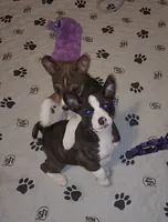 processed/87735d5a-eb6c-4814-84fd-4c693175f4f2/listing/e168f244-23ae-450d-ae5d-1732e745dbc6/225f7cb6-a5b3-41be-9b49-b3527b55273e