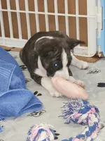 processed/87735d5a-eb6c-4814-84fd-4c693175f4f2/listing/e168f244-23ae-450d-ae5d-1732e745dbc6/b3aa0626-6abc-4e91-8ecd-251d5d347016