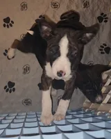 processed/87735d5a-eb6c-4814-84fd-4c693175f4f2/listing/e168f244-23ae-450d-ae5d-1732e745dbc6/feb8b7a5-1e6f-47e7-87a3-d51f6982942a