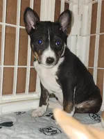 processed/87735d5a-eb6c-4814-84fd-4c693175f4f2/listing/ef2316a7-3bc6-438b-ba76-1c276b47131c/0eb49fe7-4d84-4c06-b9f0-e18ca1c01023