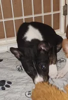 processed/87735d5a-eb6c-4814-84fd-4c693175f4f2/listing/ef2316a7-3bc6-438b-ba76-1c276b47131c/b894fcb3-61a9-4162-9d3d-b8eae76f0aec