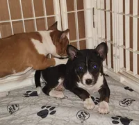 processed/87735d5a-eb6c-4814-84fd-4c693175f4f2/listing/ef2316a7-3bc6-438b-ba76-1c276b47131c/cb4eca51-3c47-47c4-9c2d-a55eb58a3ef1