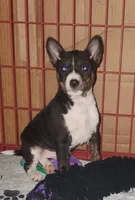 processed/87735d5a-eb6c-4814-84fd-4c693175f4f2/listing/ef2316a7-3bc6-438b-ba76-1c276b47131c/f2f51769-0d9f-481b-bb03-2a1c00985e6a