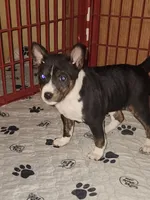 processed/87735d5a-eb6c-4814-84fd-4c693175f4f2/listing/ef2316a7-3bc6-438b-ba76-1c276b47131c/f5f64e2e-bb26-4107-b3fd-edd2d644cc87