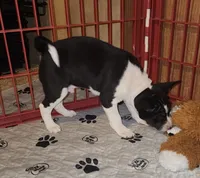 processed/87735d5a-eb6c-4814-84fd-4c693175f4f2/listing/faa02299-3fbc-4232-a404-d6490507ed01/55938a61-a009-44a3-85cd-d446fc342659