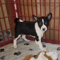 processed/87735d5a-eb6c-4814-84fd-4c693175f4f2/listing/faa02299-3fbc-4232-a404-d6490507ed01/70589ff7-2f10-4250-9e06-beb9f759d836