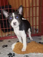 processed/87735d5a-eb6c-4814-84fd-4c693175f4f2/listing/faa02299-3fbc-4232-a404-d6490507ed01/9c8087cf-a8c2-4e63-b8e0-f582c89e1eca