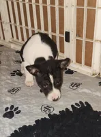 processed/87735d5a-eb6c-4814-84fd-4c693175f4f2/listing/faa02299-3fbc-4232-a404-d6490507ed01/a2318523-52a0-474f-88f4-b8511bcd5743