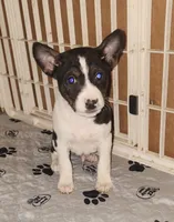 processed/87735d5a-eb6c-4814-84fd-4c693175f4f2/listing/faa02299-3fbc-4232-a404-d6490507ed01/b05938b8-bc94-44a6-98dc-fc888df8492f