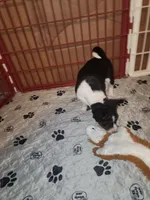 processed/87735d5a-eb6c-4814-84fd-4c693175f4f2/listing/faa02299-3fbc-4232-a404-d6490507ed01/c191cdfc-50ba-4d4c-9076-9357026101b3