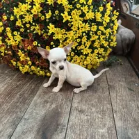 processed/8776a259-722b-4492-bcc8-97f70ed4d883/facility/5802a961-68af-4aee-8982-6b76970cdfa6