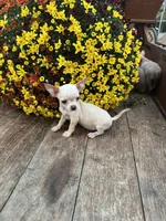 processed/8776a259-722b-4492-bcc8-97f70ed4d883/facility/5802a961-68af-4aee-8982-6b76970cdfa6