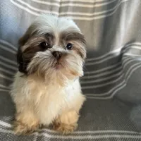 processed/8776a259-722b-4492-bcc8-97f70ed4d883/facility/726275c3-85fb-42cc-b5fb-e7aa38fbea28