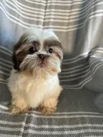 processed/8776a259-722b-4492-bcc8-97f70ed4d883/facility/726275c3-85fb-42cc-b5fb-e7aa38fbea28