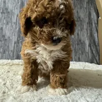 processed/8776a259-722b-4492-bcc8-97f70ed4d883/facility/7bf9c82d-5c61-450d-b201-80c70a8b5f77