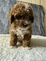 processed/8776a259-722b-4492-bcc8-97f70ed4d883/facility/7bf9c82d-5c61-450d-b201-80c70a8b5f77