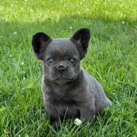 processed/8776a259-722b-4492-bcc8-97f70ed4d883/facility/9cd6e1ad-eea2-4f68-aa77-797aad5a2368