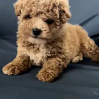 processed/8776a259-722b-4492-bcc8-97f70ed4d883/facility/add12fac-8d57-48ec-9b44-f995b15cfd75