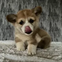 processed/8776a259-722b-4492-bcc8-97f70ed4d883/facility/dfe2f683-1180-4a40-aa6a-7d849dcf67f5