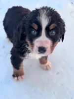 processed/8776a259-722b-4492-bcc8-97f70ed4d883/listing/3a6cb942-dc69-4f21-a6a7-cffe90bfa09d/1f2bd140-3322-42e4-9537-5e79da17612f