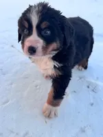 processed/8776a259-722b-4492-bcc8-97f70ed4d883/listing/3a6cb942-dc69-4f21-a6a7-cffe90bfa09d/21a6f2a4-d5e0-4595-b73f-bd4124945f43