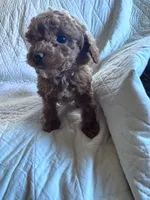 processed/8776a259-722b-4492-bcc8-97f70ed4d883/listing/559feba4-a4f7-42df-9b63-6b8f8a3c081a/474b06bd-e599-46d1-8278-f94c8b42b470