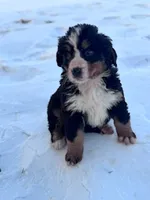 processed/8776a259-722b-4492-bcc8-97f70ed4d883/listing/7888e3f0-987a-4dac-8ddb-619092ae674d/53d4a838-4445-40d5-8cf9-ab78f87c655d