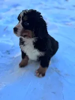 processed/8776a259-722b-4492-bcc8-97f70ed4d883/listing/7888e3f0-987a-4dac-8ddb-619092ae674d/c013fcc4-f654-4808-9d71-7ce427f05683