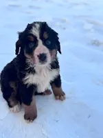 processed/8776a259-722b-4492-bcc8-97f70ed4d883/listing/7888e3f0-987a-4dac-8ddb-619092ae674d/df5ba065-0020-4239-ab3c-e5cec12230ba