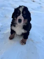 processed/8776a259-722b-4492-bcc8-97f70ed4d883/listing/7888e3f0-987a-4dac-8ddb-619092ae674d/e15bb7b0-853e-4b17-a94c-a3c6d0bf084d