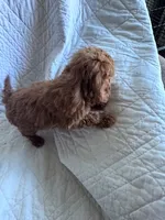 processed/8776a259-722b-4492-bcc8-97f70ed4d883/listing/7fead720-c35b-47aa-9ff5-c65d9ec00c7c/2532e9f9-da29-42a6-a54d-94af33710a12