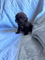 processed/8776a259-722b-4492-bcc8-97f70ed4d883/listing/7fead720-c35b-47aa-9ff5-c65d9ec00c7c/5889e4dc-bfbd-4362-bdb0-821946d39a9b