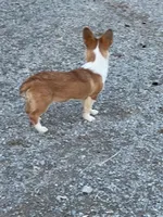 processed/8776a259-722b-4492-bcc8-97f70ed4d883/listing/8cfec0b8-6d34-4461-9063-30a703d0848c/3114d47e-6911-4519-87ed-a8b009044093