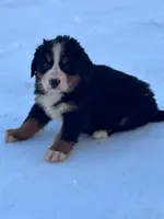 processed/8776a259-722b-4492-bcc8-97f70ed4d883/listing/ad6510ca-4d8a-4d75-a8a5-618a4187c5db/1699c8e6-45e3-4439-aeaf-b49802e55917