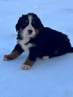 processed/8776a259-722b-4492-bcc8-97f70ed4d883/listing/ad6510ca-4d8a-4d75-a8a5-618a4187c5db/886aa8b6-f6de-45ca-be79-22cf44639b56