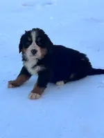 processed/8776a259-722b-4492-bcc8-97f70ed4d883/listing/ad6510ca-4d8a-4d75-a8a5-618a4187c5db/ccea0323-1c66-41af-b445-4d1f998e933b