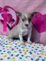 processed/8776a259-722b-4492-bcc8-97f70ed4d883/listing/b42ee728-33ab-43ee-a528-f6488dd27afa/245e920d-0c93-4384-8405-0b5cd15fc252