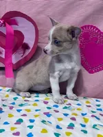 processed/8776a259-722b-4492-bcc8-97f70ed4d883/listing/b42ee728-33ab-43ee-a528-f6488dd27afa/7a735bba-5bcf-41e3-b159-a9f57aa6f43b