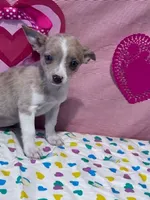 processed/8776a259-722b-4492-bcc8-97f70ed4d883/listing/b42ee728-33ab-43ee-a528-f6488dd27afa/b408107b-fd53-4748-8e9b-44f9084bc378