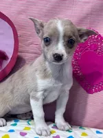 processed/8776a259-722b-4492-bcc8-97f70ed4d883/listing/b42ee728-33ab-43ee-a528-f6488dd27afa/b4bf2935-2517-46b2-8c52-0e40c0a16898