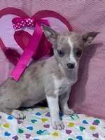 processed/8776a259-722b-4492-bcc8-97f70ed4d883/listing/b42ee728-33ab-43ee-a528-f6488dd27afa/e3156384-7cbf-4207-8150-855a808b67b2