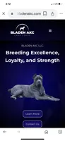 AKC/ICCF Blue Collar Fawn Female, a female Cane Corso for sale in Bladenboro, NC – 5 of 5