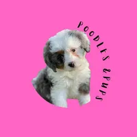 processed/87827859-3a9c-4f84-b570-27076a68ec94/facility/5be2c2f7-16fc-4677-86f3-0c9b239e373a