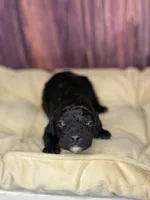 processed/87827859-3a9c-4f84-b570-27076a68ec94/listing/1c377f6e-6544-43d9-b8df-cb3534b539eb/c62b5adb-ae3f-4f14-bc54-d5d5f2256373