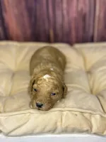 processed/87827859-3a9c-4f84-b570-27076a68ec94/listing/275953ff-f5da-4fb9-8257-a9b6ae6f4ccc/6d1ea1bf-dec0-4dd5-aa3b-388a28c142e1